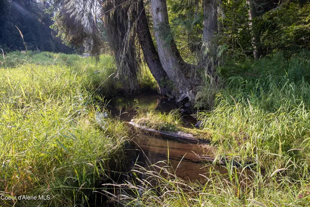 $875,000 | 12 Unincorporated Id 83525, Kooskia, ID 83539