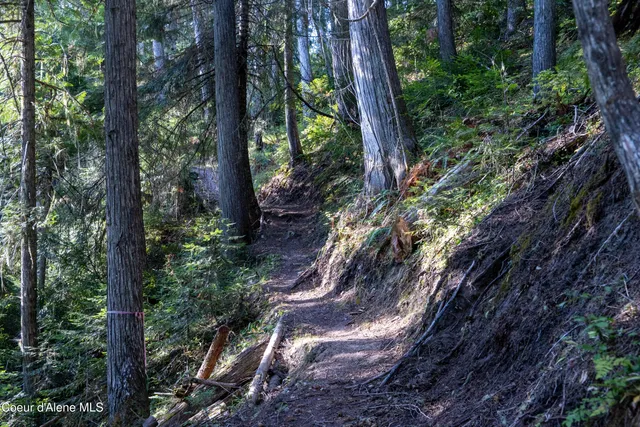 $875,000 | 12 Unincorporated Id 83525, Kooskia, ID 83539