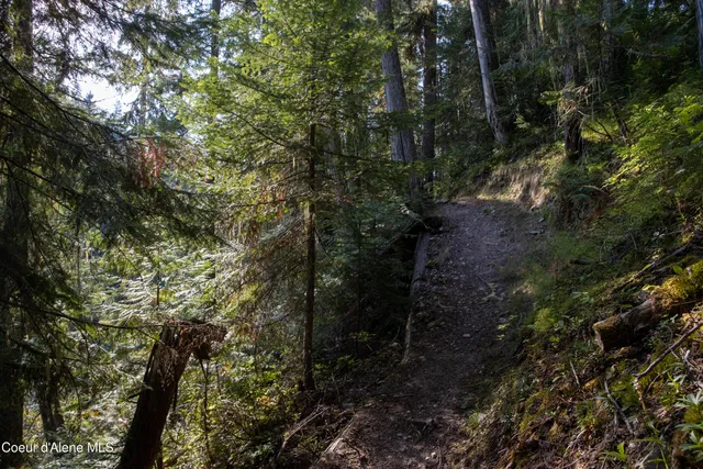 $875,000 | 12 Unincorporated Id 83525, Kooskia, ID 83539