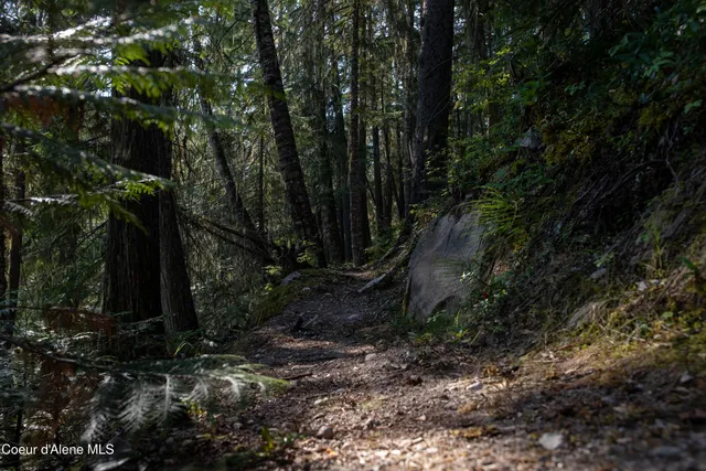 $875,000 | 12 Unincorporated Id 83525, Kooskia, ID 83539