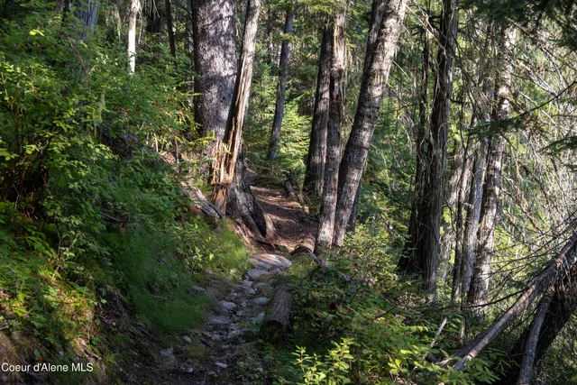 $875,000 | 12 Unincorporated Id 83525, Kooskia, ID 83539