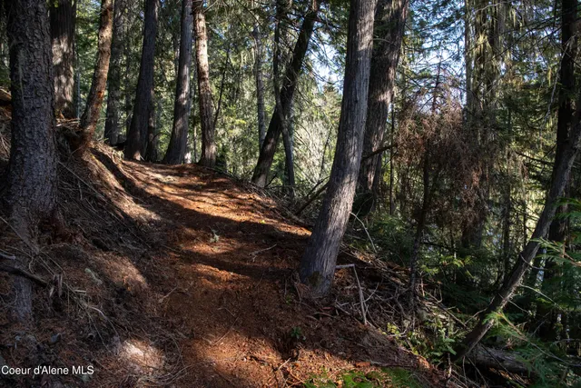 $875,000 | 12 Unincorporated Id 83525, Kooskia, ID 83539