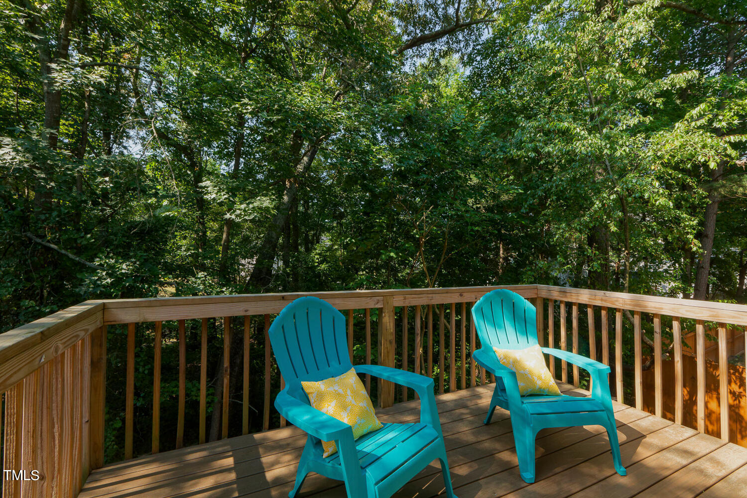 301 Rapp Lane Apex, NC 27502 - Photo 43 of 50 301 Rapp Ln Apex NC 27502 USA-large-045-