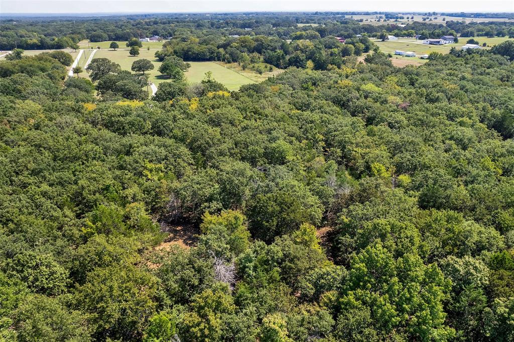 1793 Greer Road Sadler, TX 76264 - Photo 31 of 36 an aerial view of residential houses with outdoor space and trees