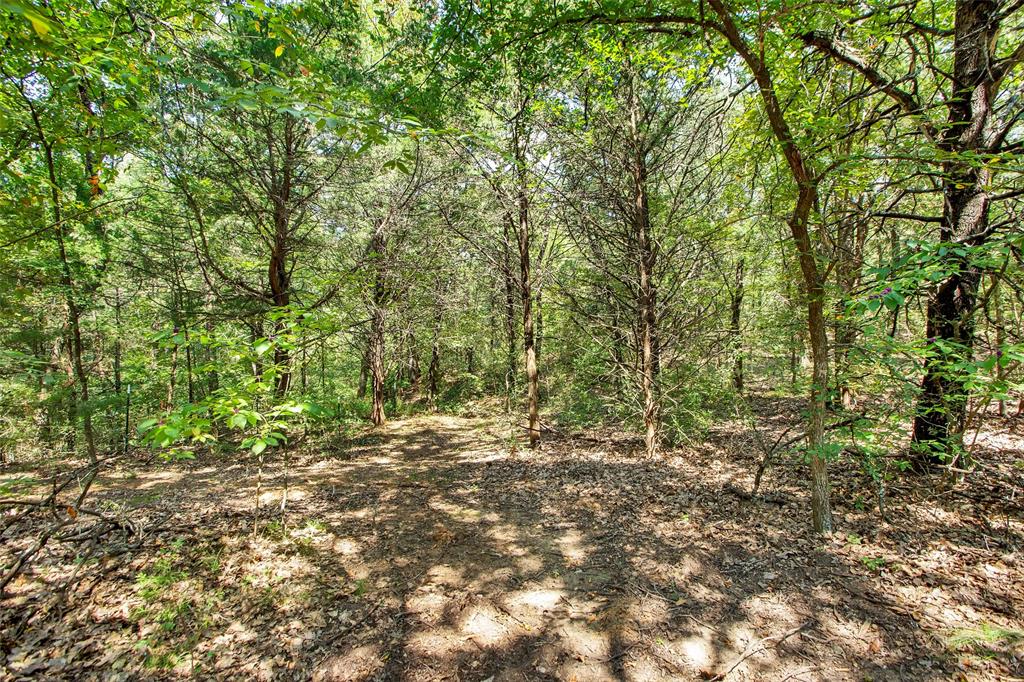 1793 Greer Road Sadler, TX 76264 - Photo 33 of 36 a view of outdoor space and trees