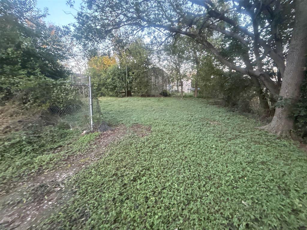 3317 North 23rd Street Waco, TX 76708 - Photo 5 of 22 a view of a forest with a trees