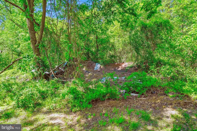 $1,150,000 | 19900 New Hampshire Avenue, Brinklow, MD 20862