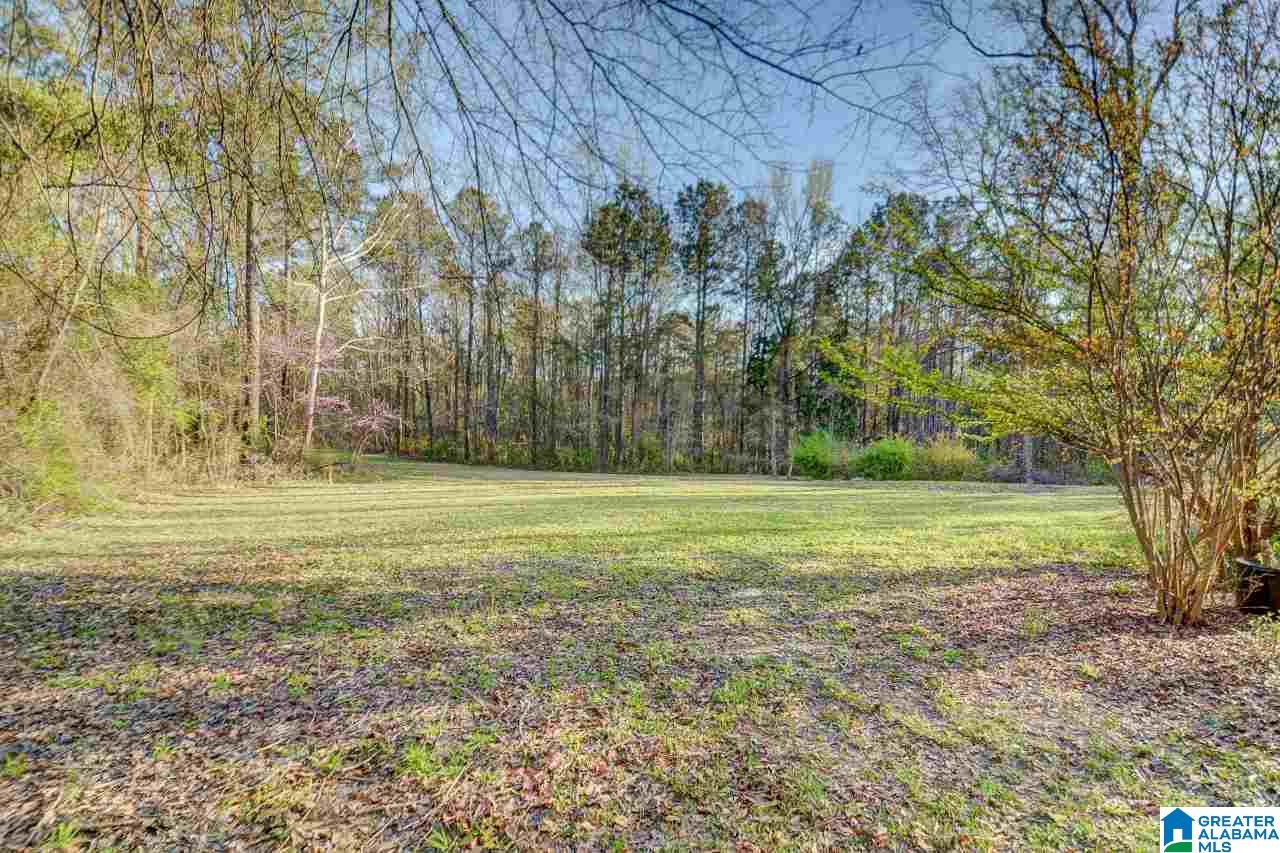 1351 Hinkle Road Clanton, AL 35045 - Photo 34 of 36