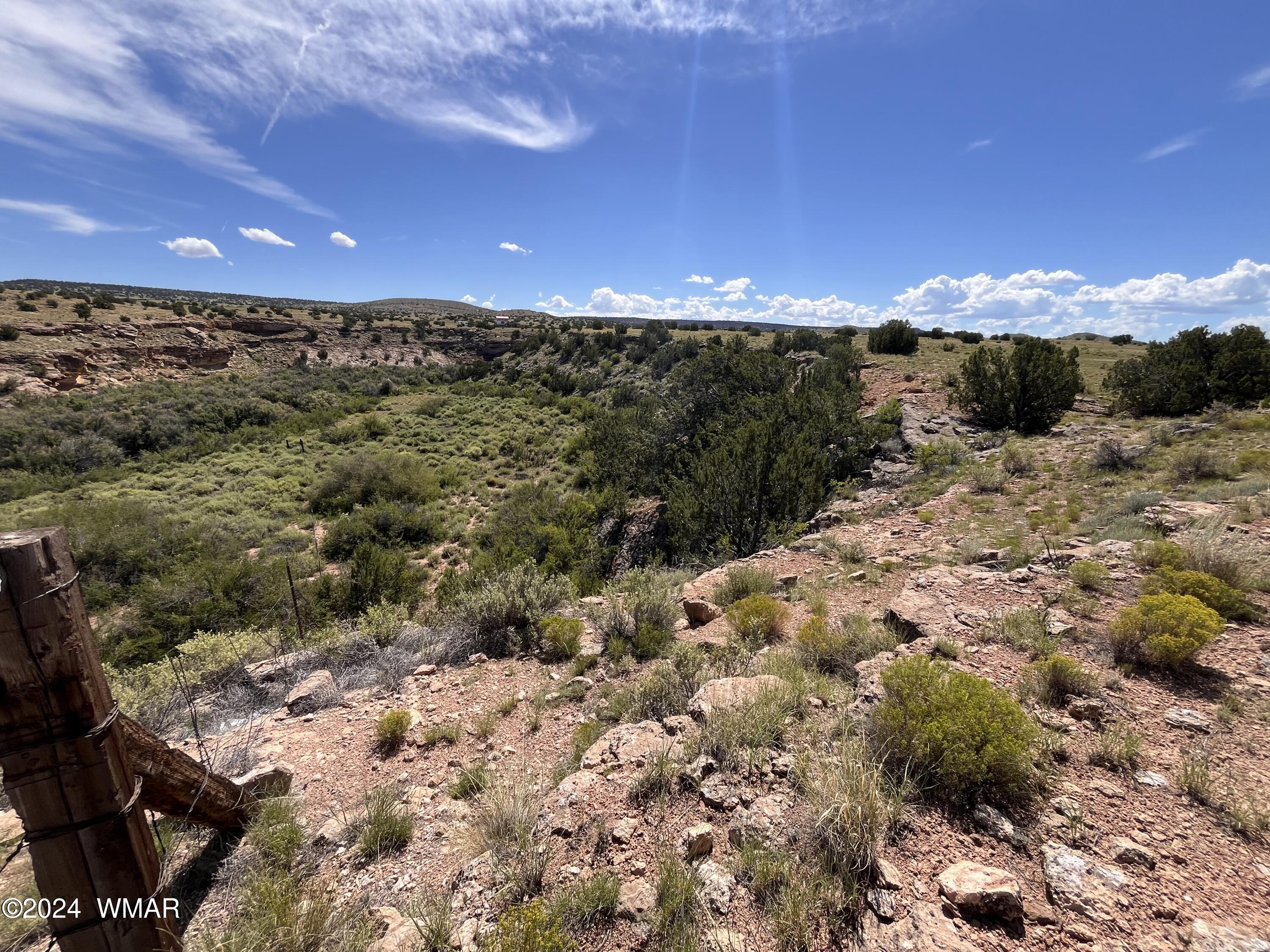 Lot 103 River Springs Ranch St. Johns, AZ 85936 - Photo 11 of 42 IMG_4939