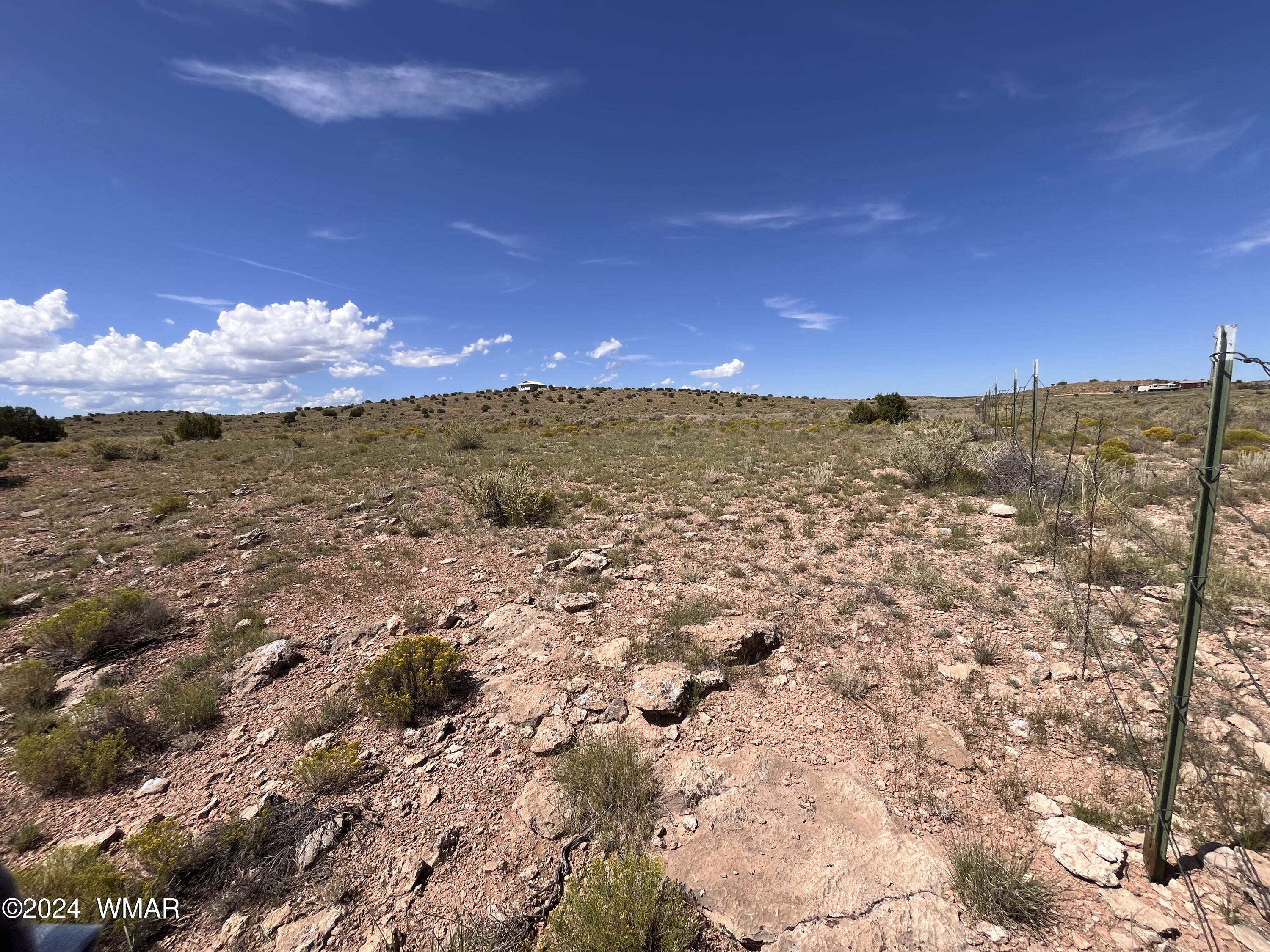 Lot 103 River Springs Ranch St. Johns, AZ 85936 - Photo 12 of 42 IMG_4940