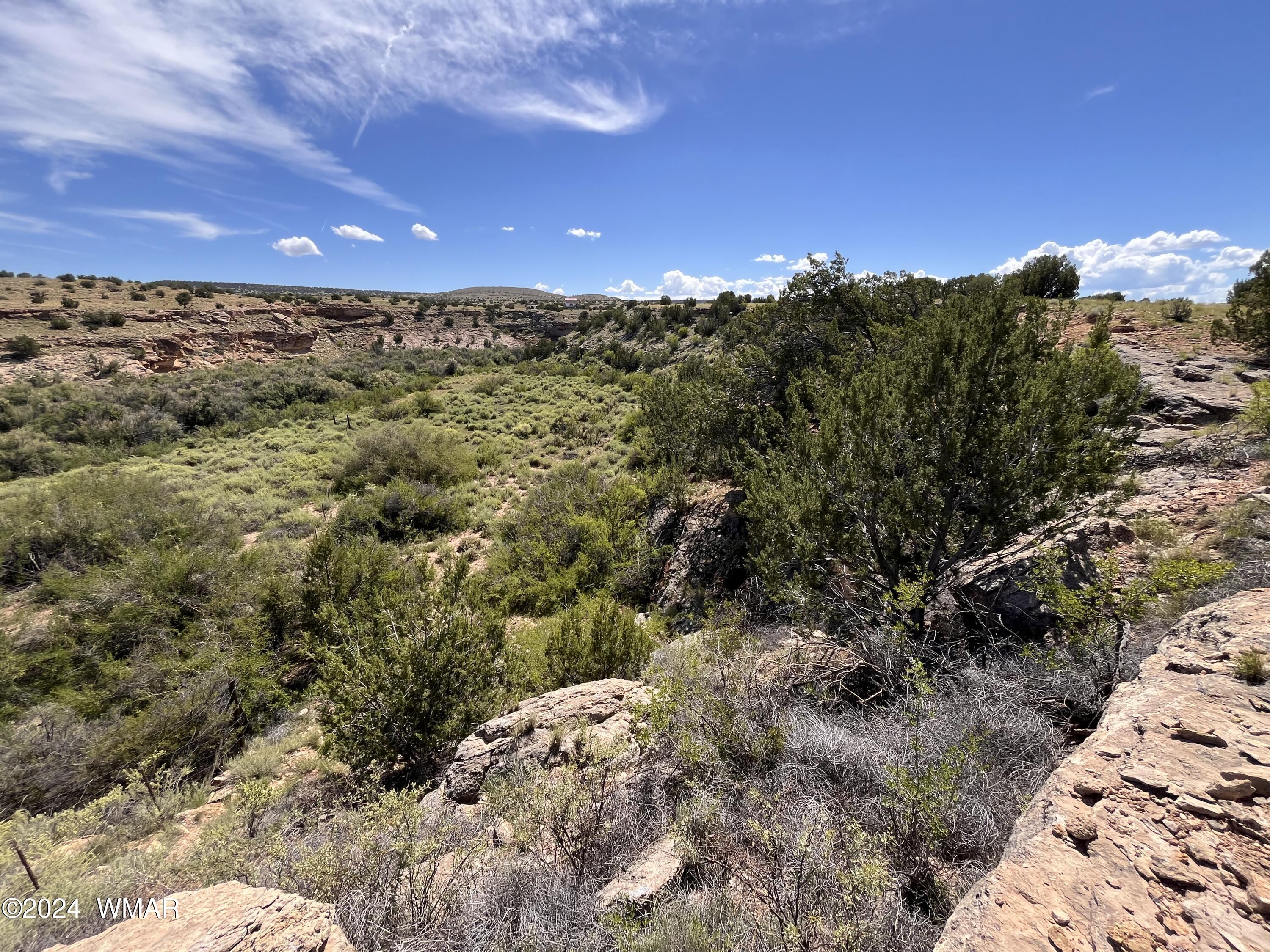 Lot 103 River Springs Ranch St. Johns, AZ 85936 - Photo 14 of 42 IMG_4942