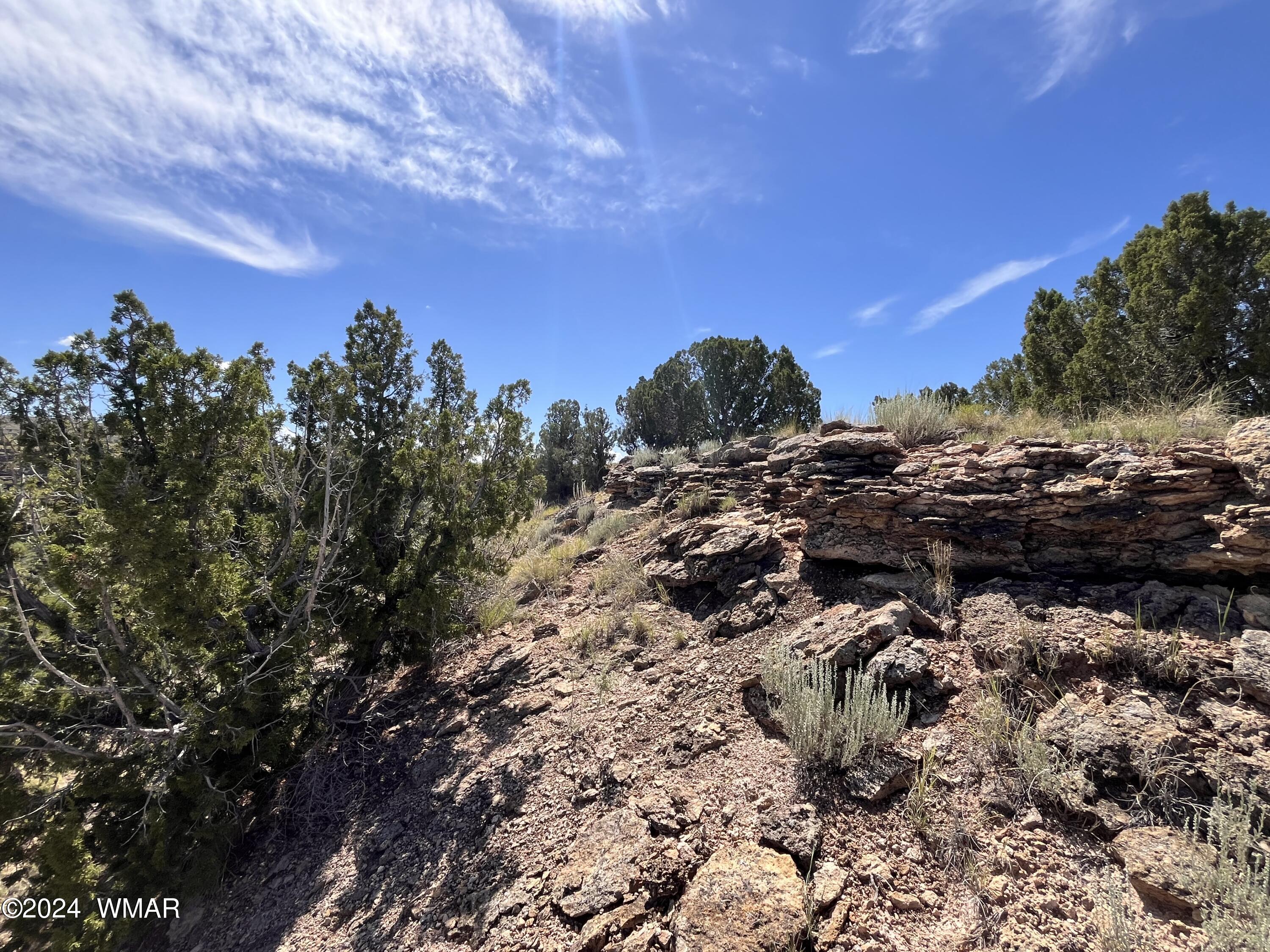 Lot 103 River Springs Ranch St. Johns, AZ 85936 - Photo 17 of 42 IMG_4945