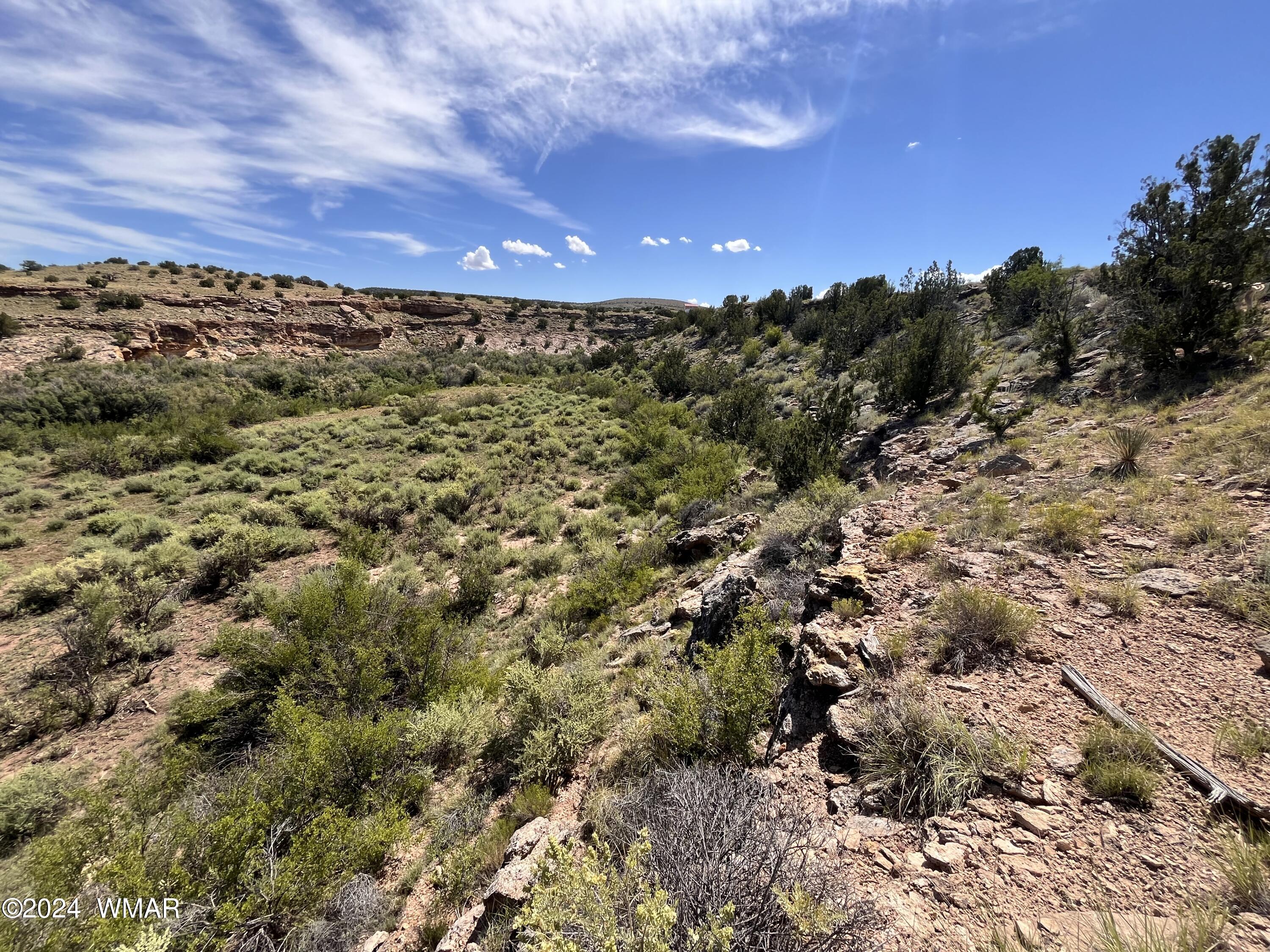 Lot 103 River Springs Ranch St. Johns, AZ 85936 - Photo 18 of 42 IMG_4946