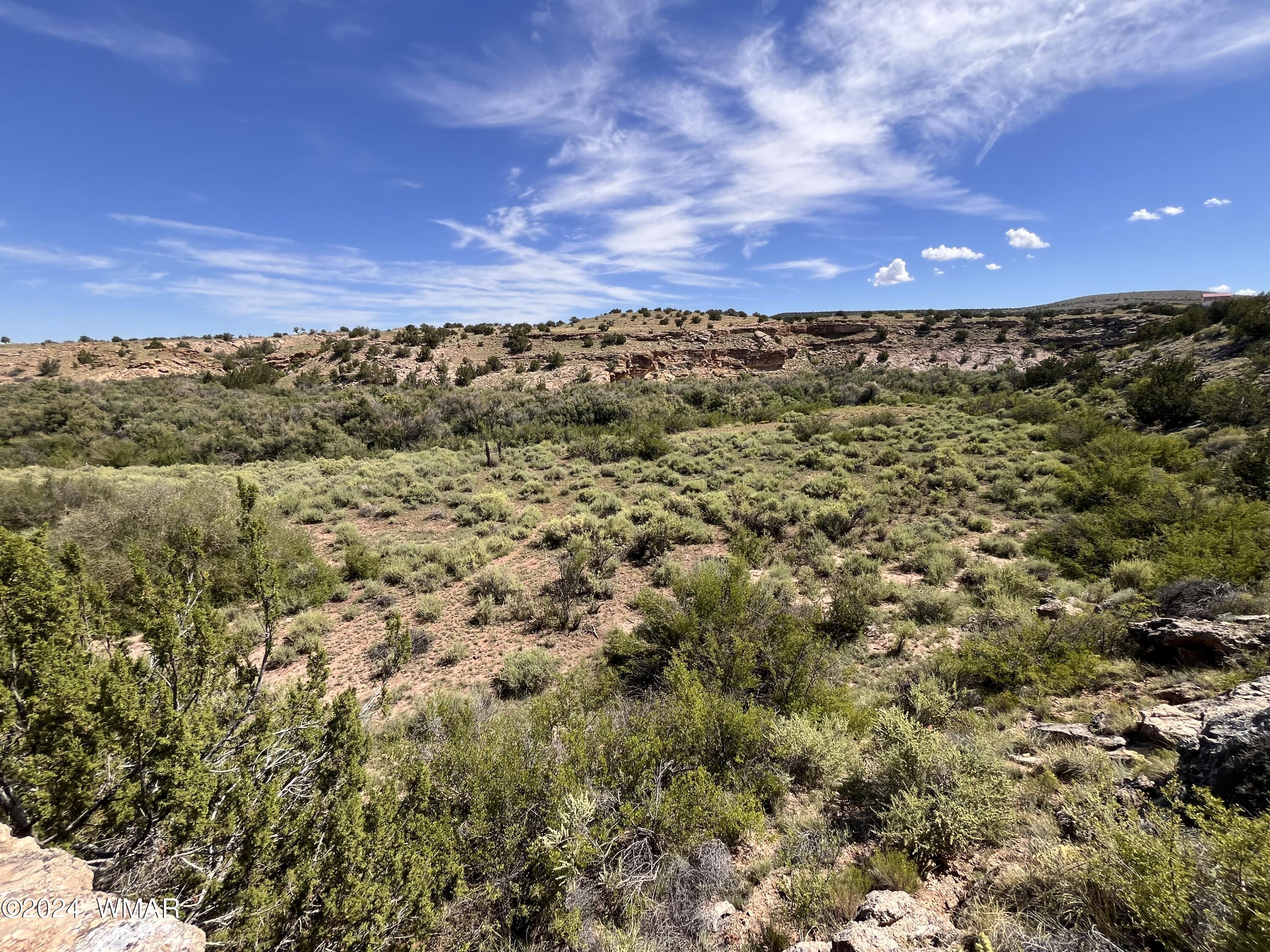 Lot 103 River Springs Ranch St. Johns, AZ 85936 - Photo 19 of 42 IMG_4947