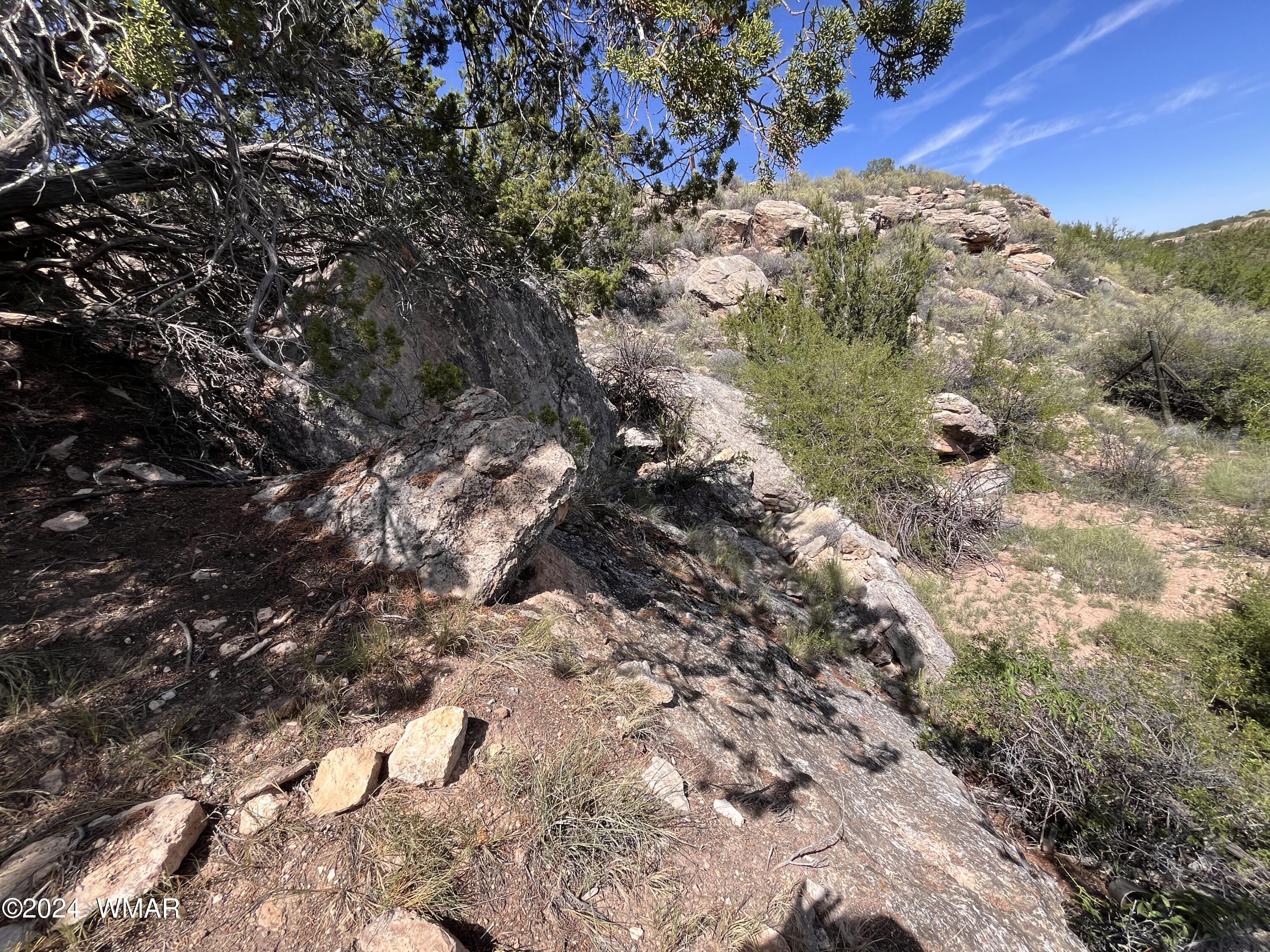 Lot 103 River Springs Ranch St. Johns, AZ 85936 - Photo 20 of 42 IMG_4948