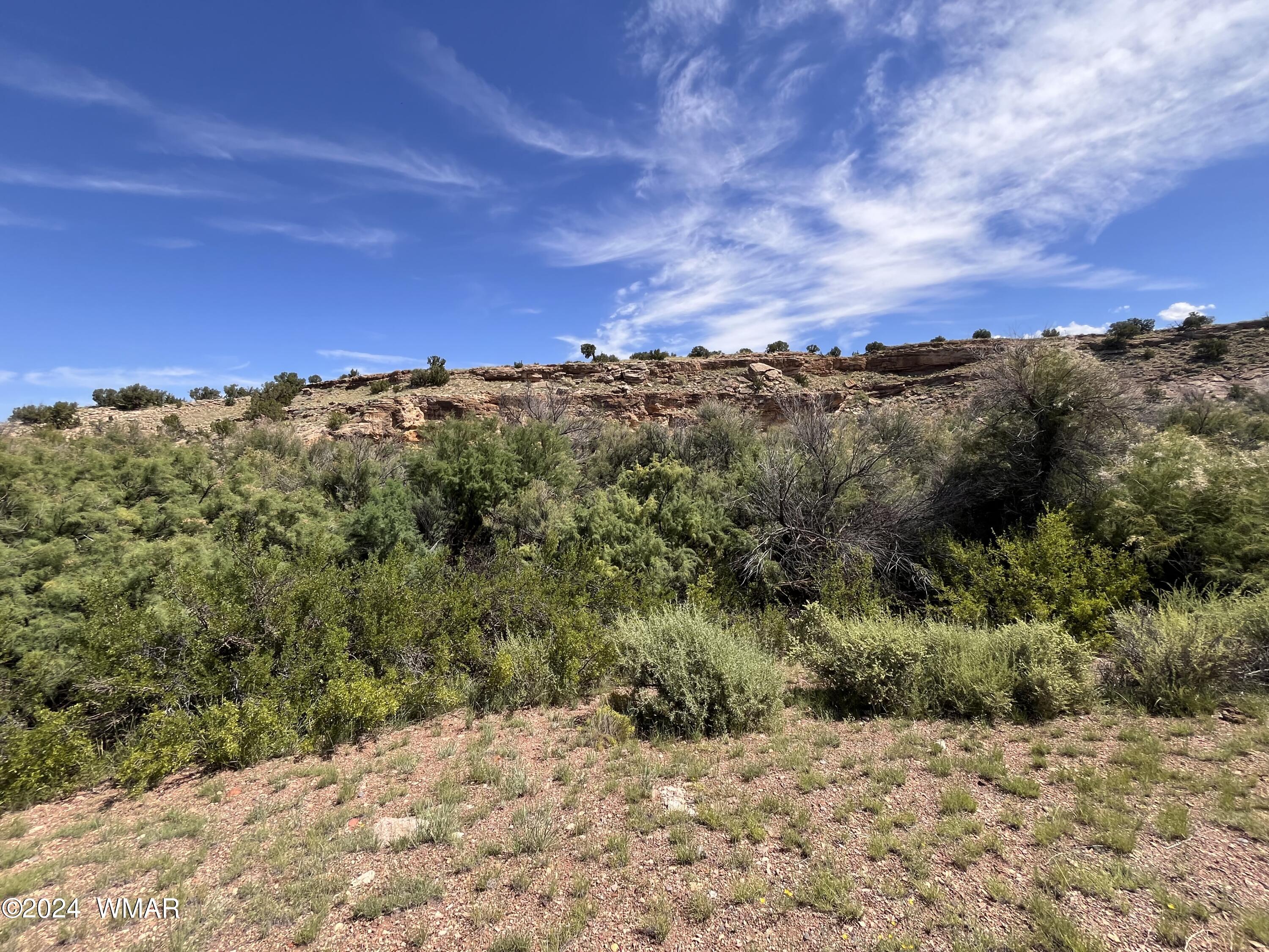 Lot 103 River Springs Ranch St. Johns, AZ 85936 - Photo 21 of 42 IMG_4949