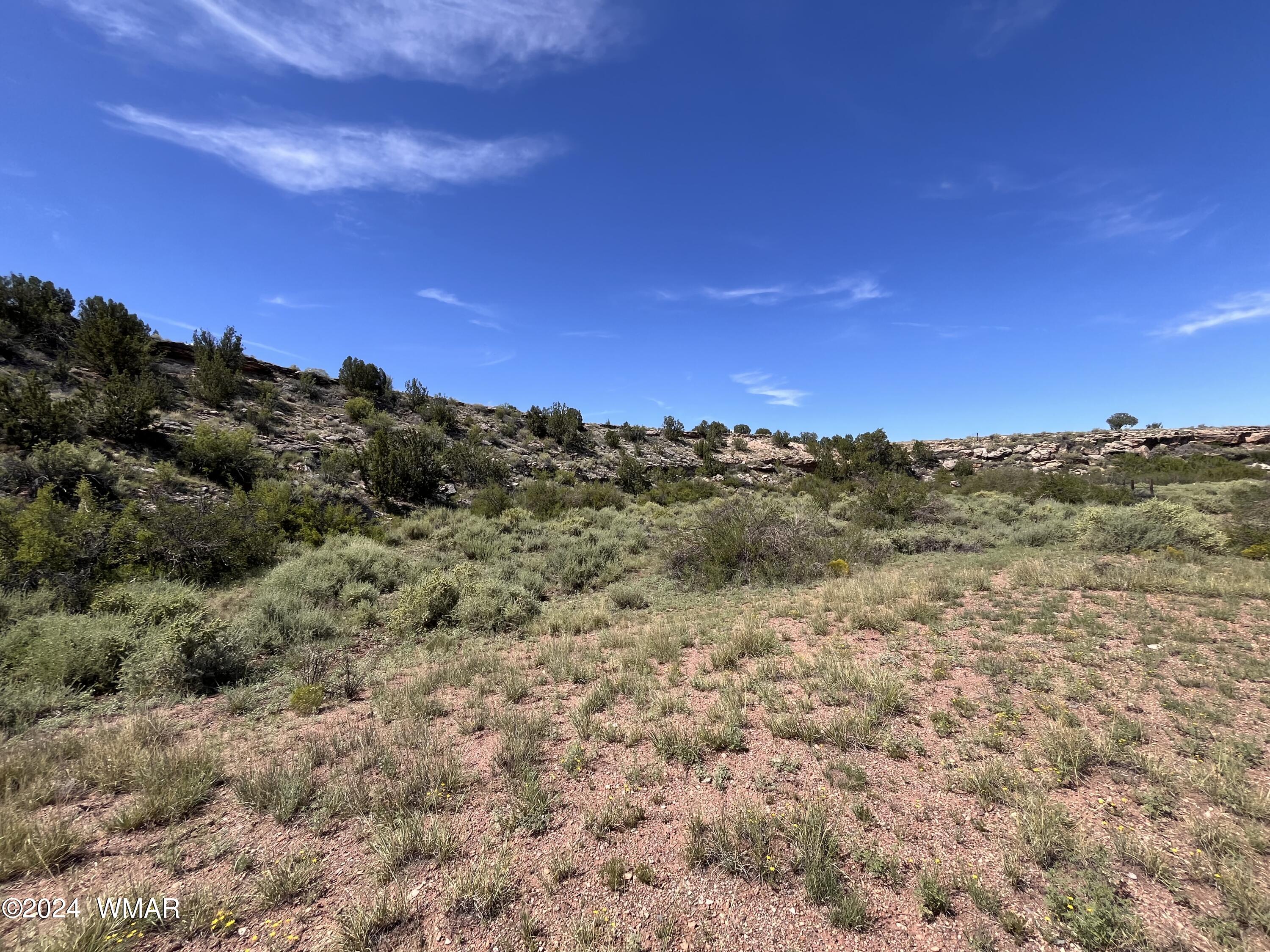 Lot 103 River Springs Ranch St. Johns, AZ 85936 - Photo 22 of 42 IMG_4950
