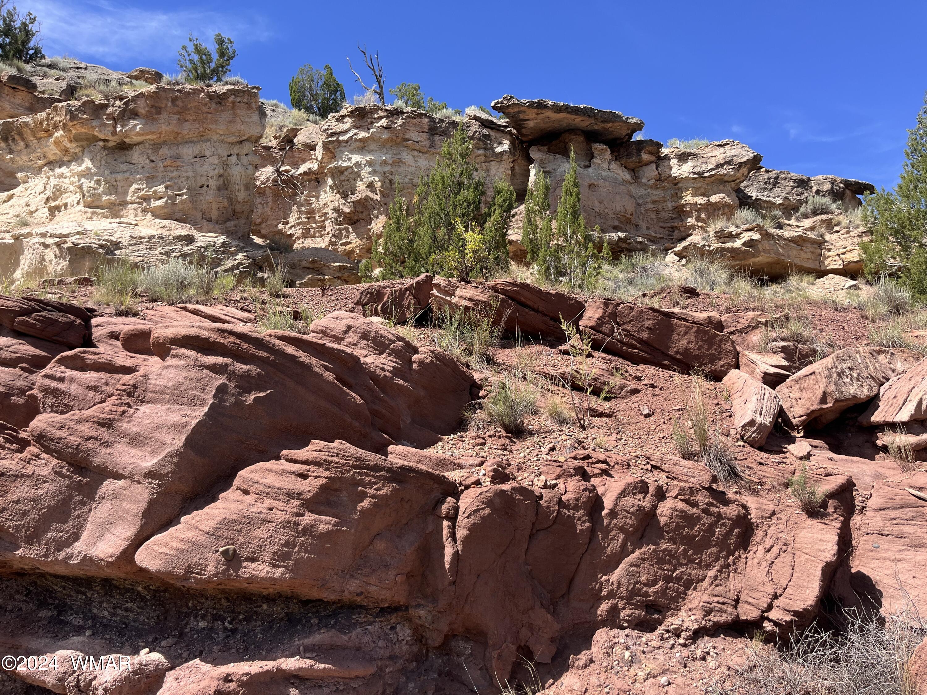 Lot 103 River Springs Ranch St. Johns, AZ 85936 - Photo 23 of 42 IMG_4952