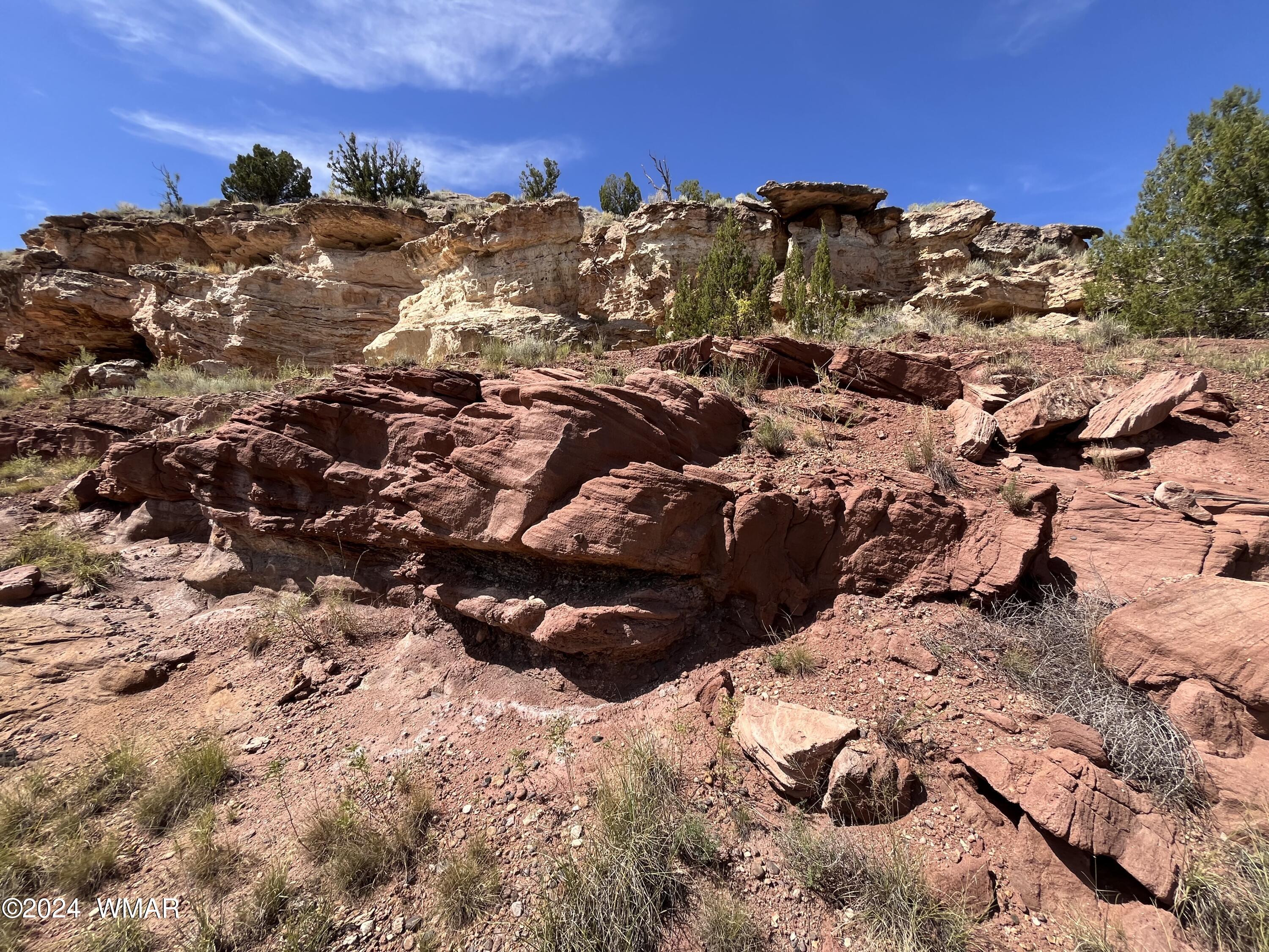 Lot 103 River Springs Ranch St. Johns, AZ 85936 - Photo 25 of 42 IMG_4954