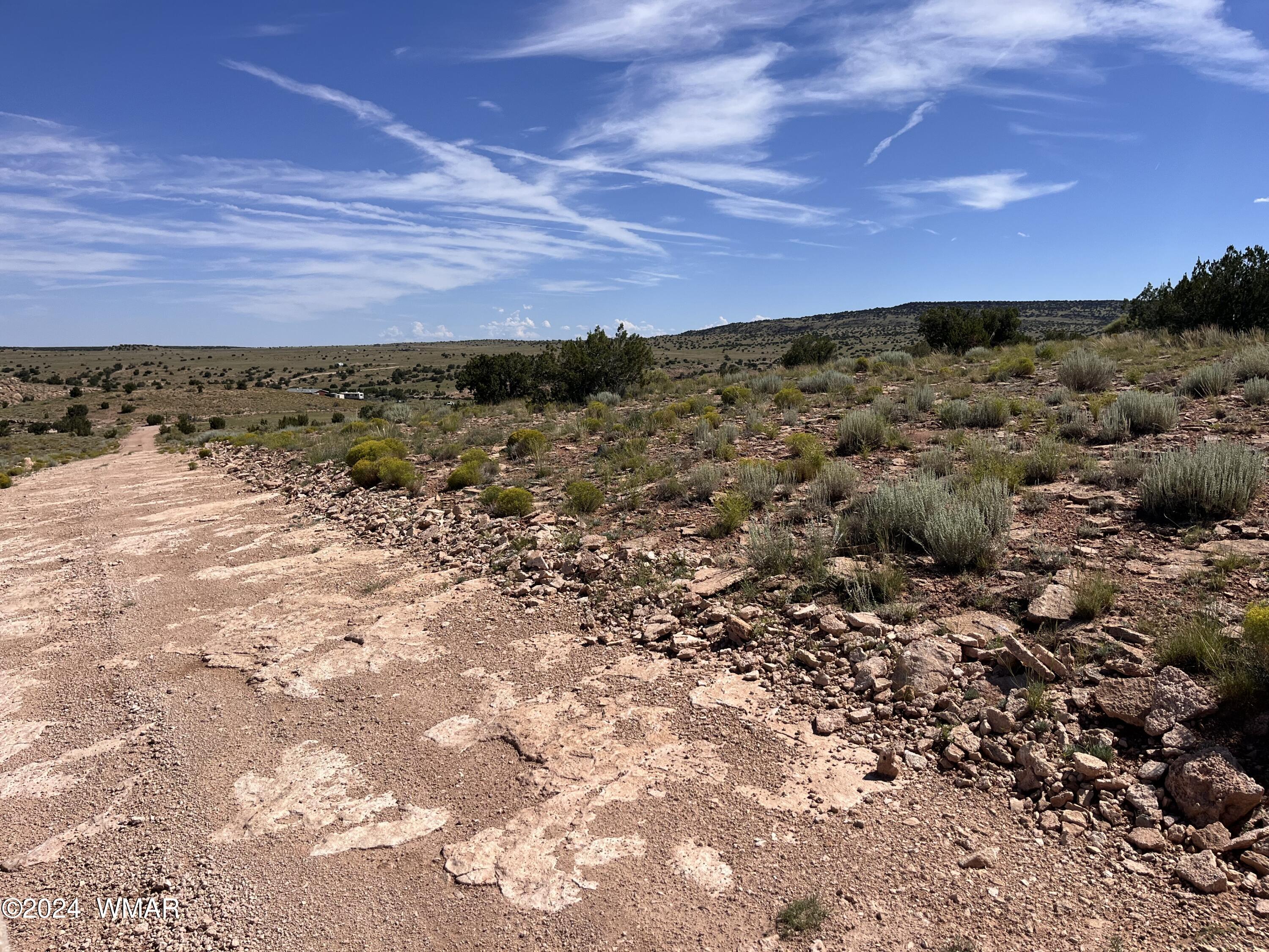 Lot 103 River Springs Ranch St. Johns, AZ 85936 - Photo 3 of 42 IMG_4919