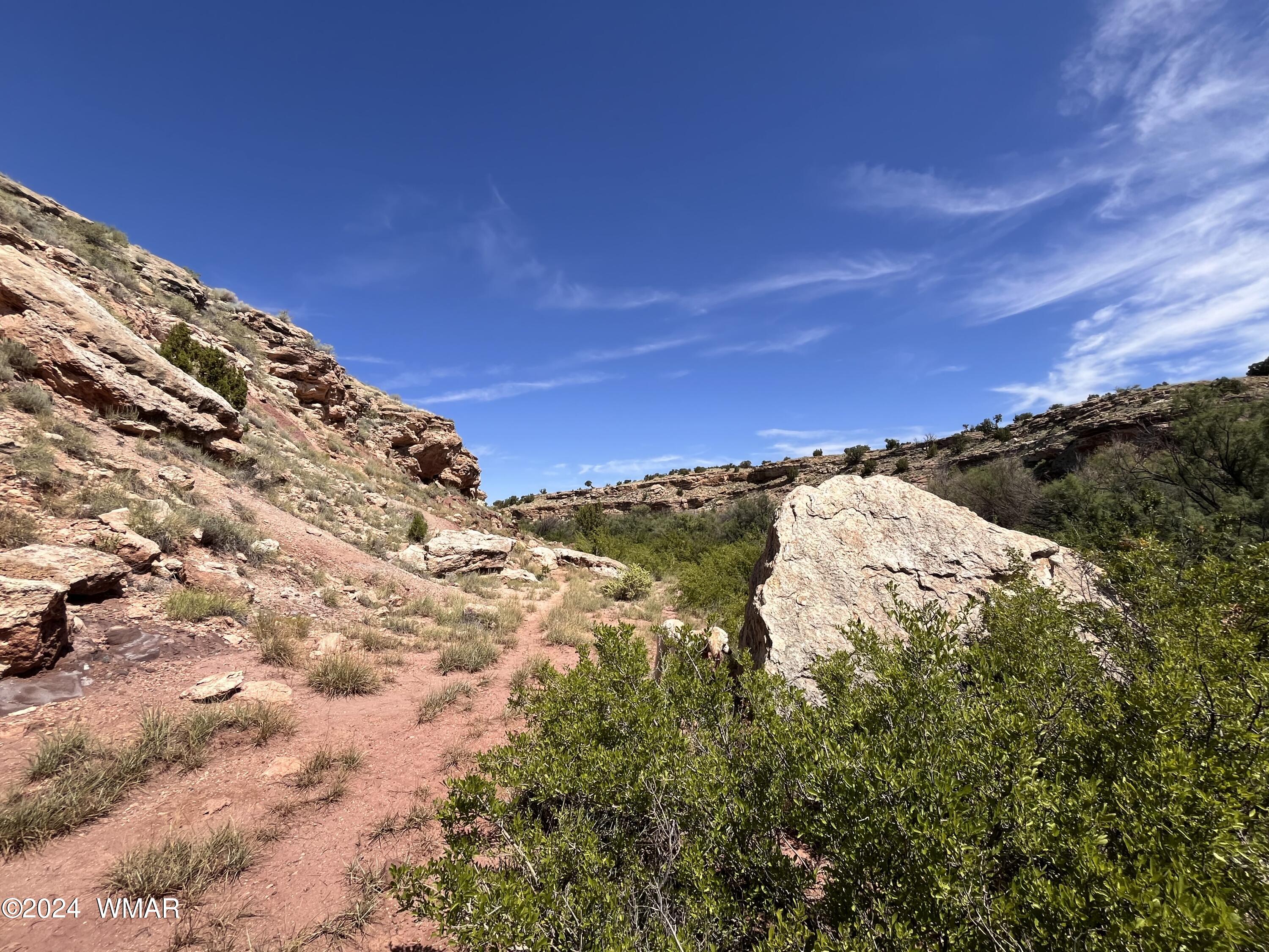 Lot 103 River Springs Ranch St. Johns, AZ 85936 - Photo 31 of 42 IMG_4959