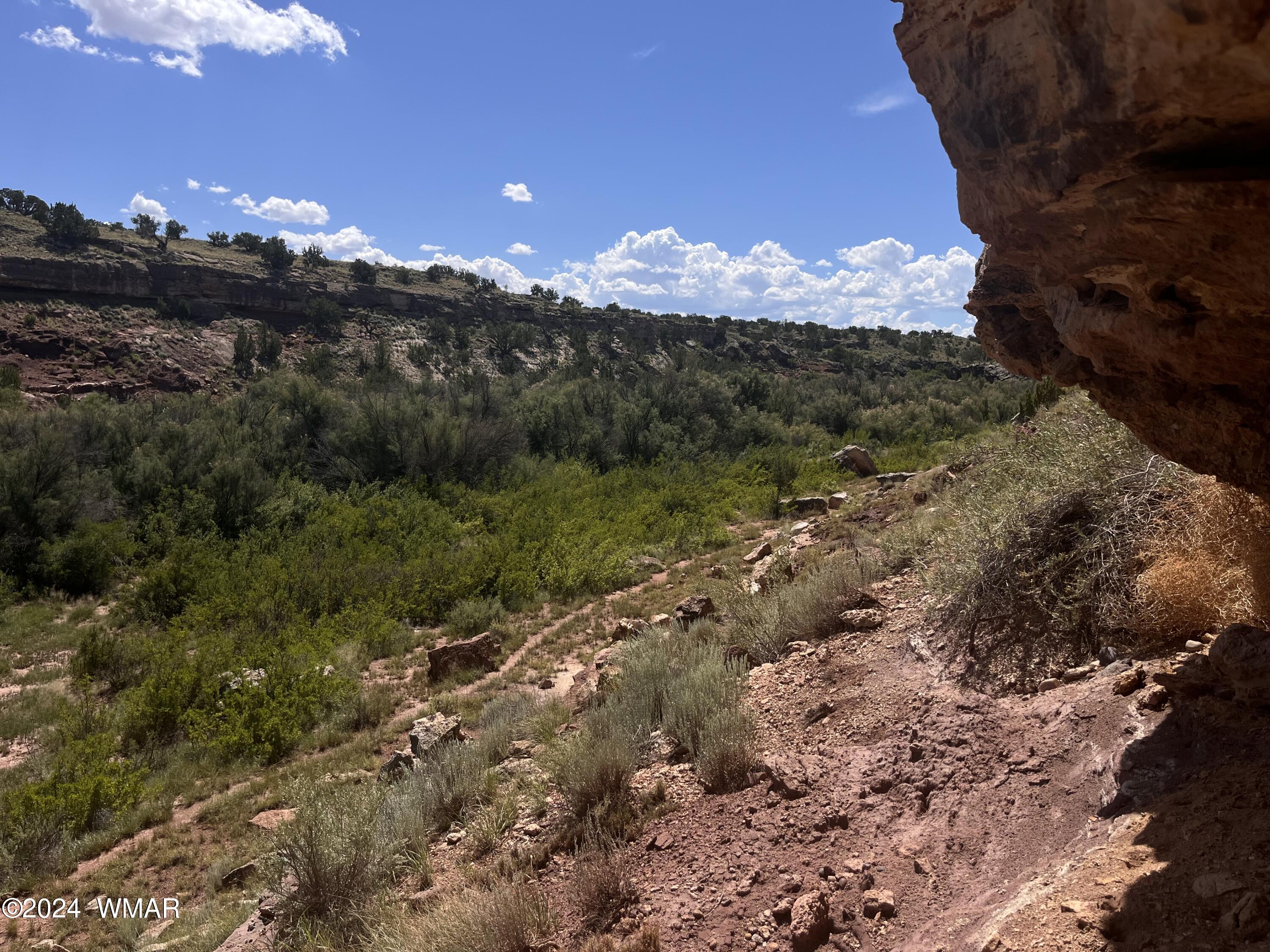 Lot 103 River Springs Ranch St. Johns, AZ 85936 - Photo 33 of 42 IMG_4967