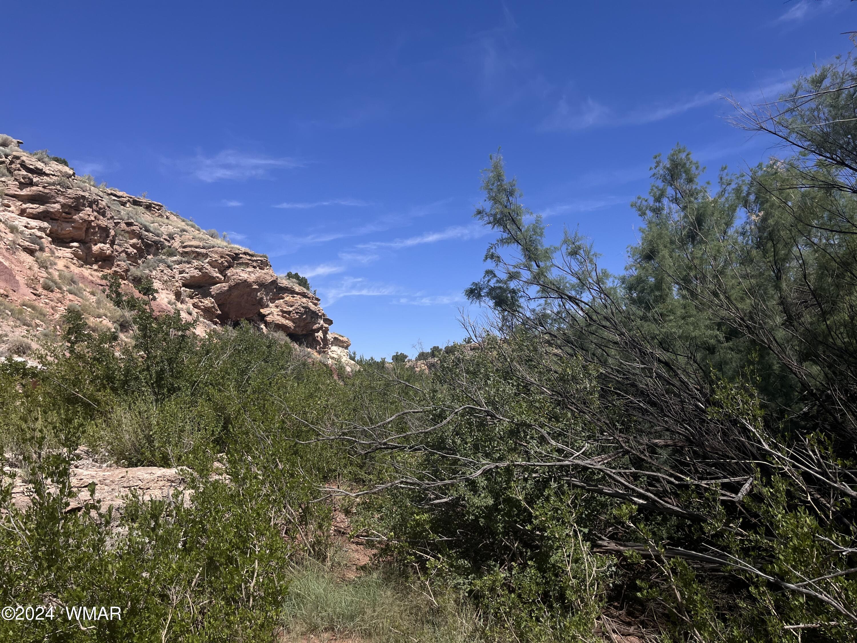 Lot 103 River Springs Ranch St. Johns, AZ 85936 - Photo 35 of 42 IMG_4969