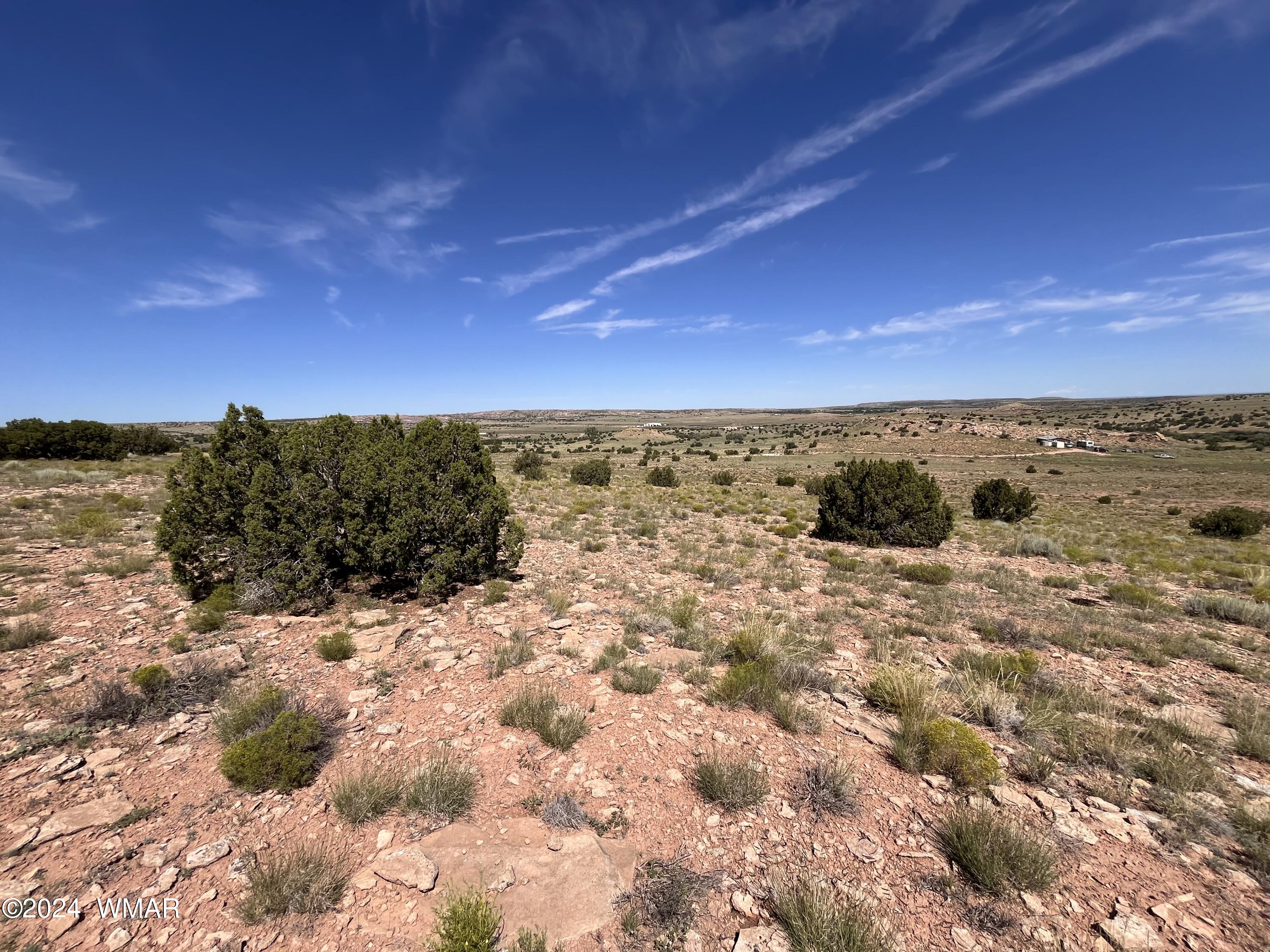 Lot 103 River Springs Ranch St. Johns, AZ 85936 - Photo 38 of 42 IMG_4927