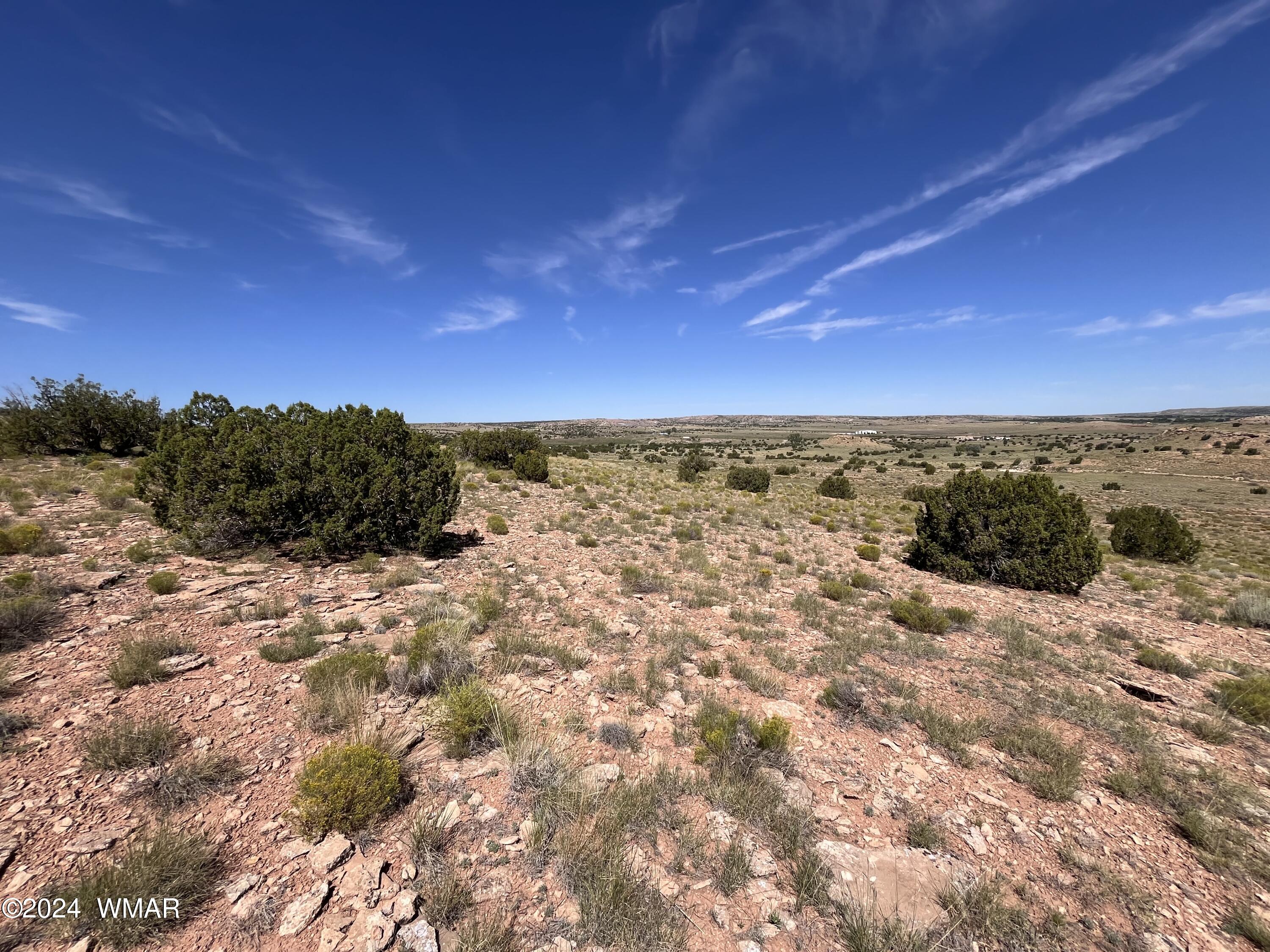 Lot 103 River Springs Ranch St. Johns, AZ 85936 - Photo 39 of 42 IMG_4928