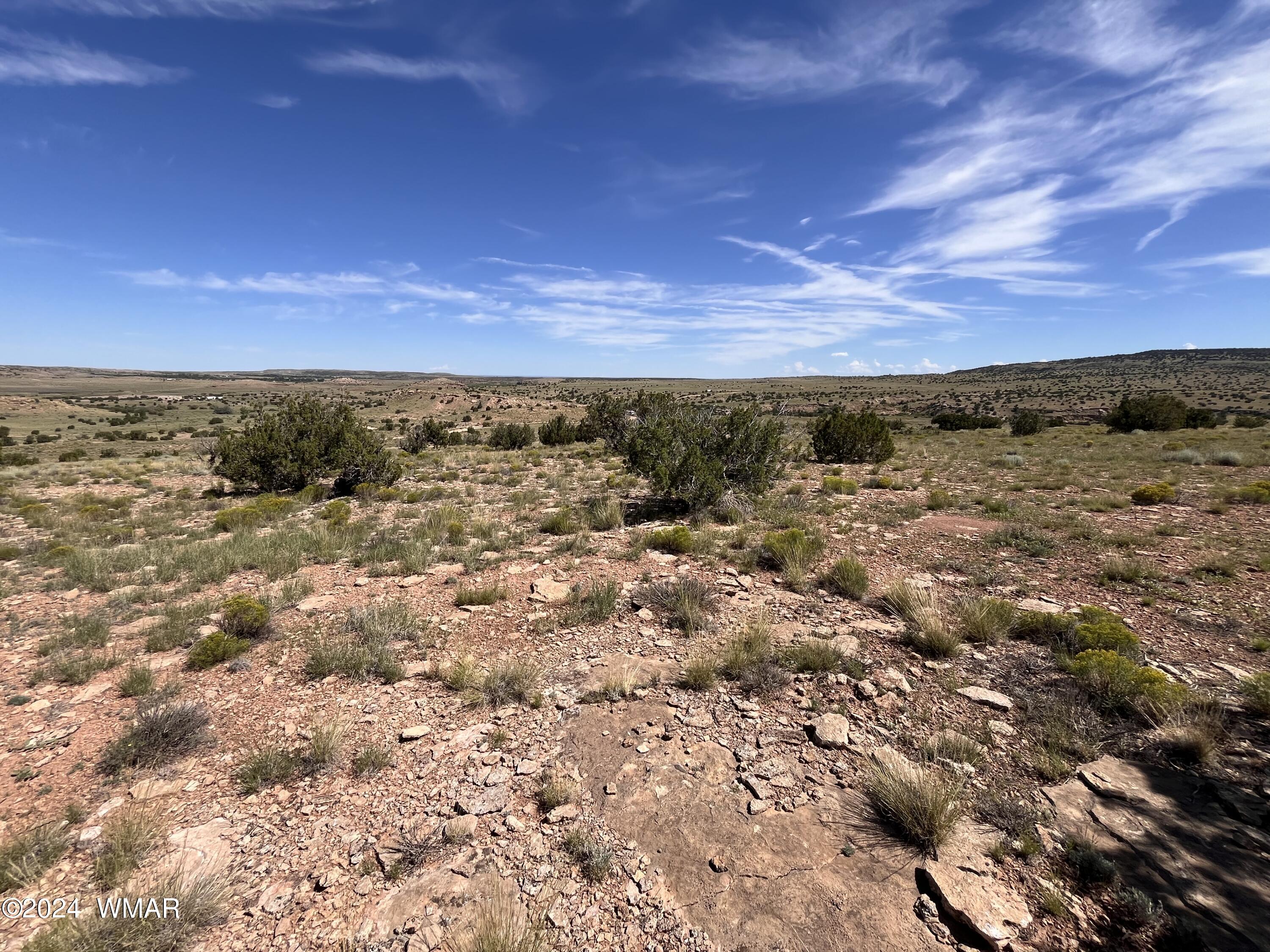 Lot 103 River Springs Ranch St. Johns, AZ 85936 - Photo 40 of 42 IMG_4923