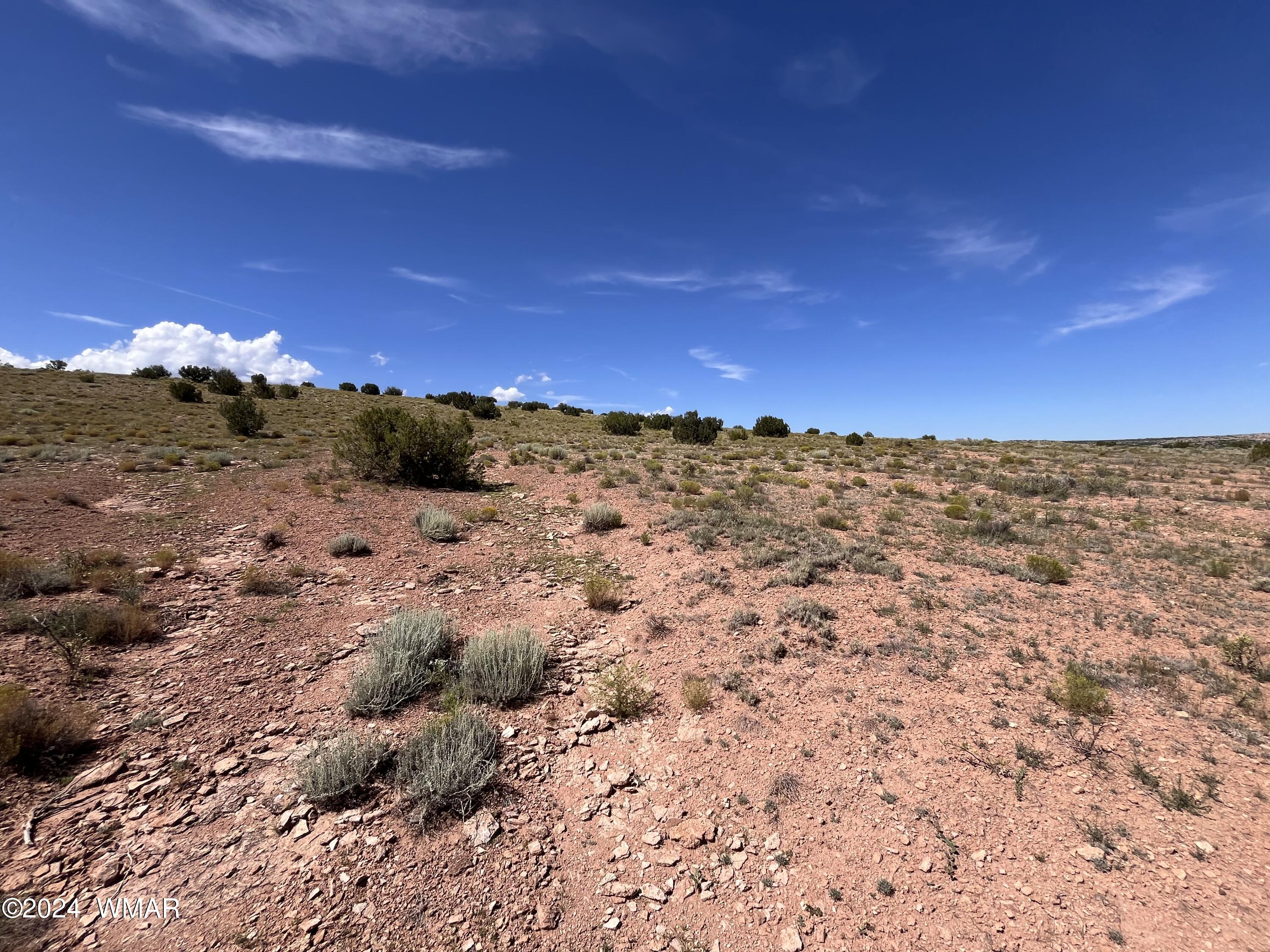Lot 103 River Springs Ranch St. Johns, AZ 85936 - Photo 41 of 42 IMG_4931