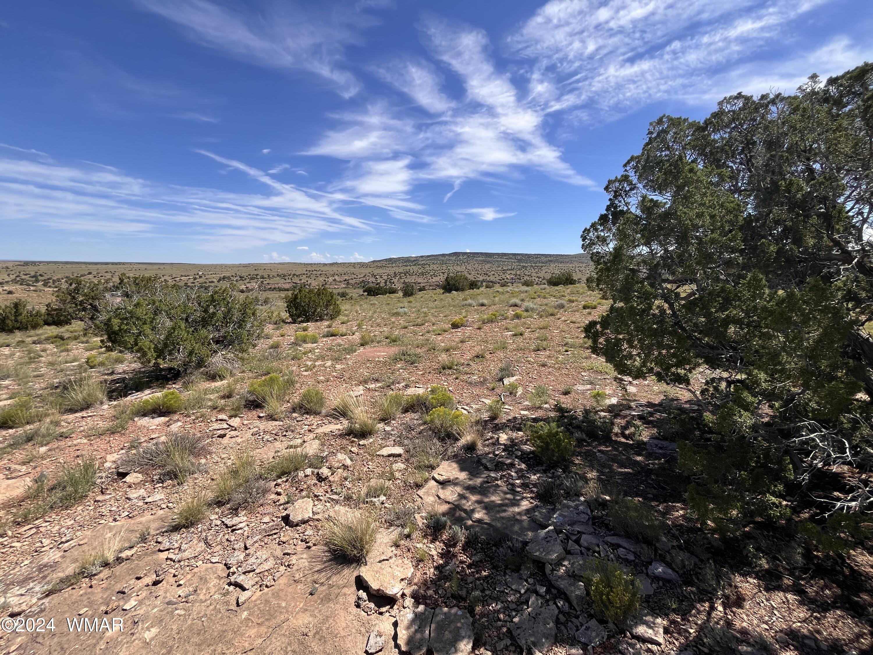 Lot 103 River Springs Ranch St. Johns, AZ 85936 - Photo 6 of 42 IMG_4924