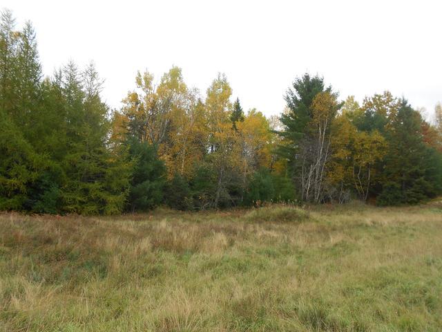 On Meadow Lane, Unit LOT 23 Rhinelander, WI 54501 - Photo 2 of 6 Gallery Image 2