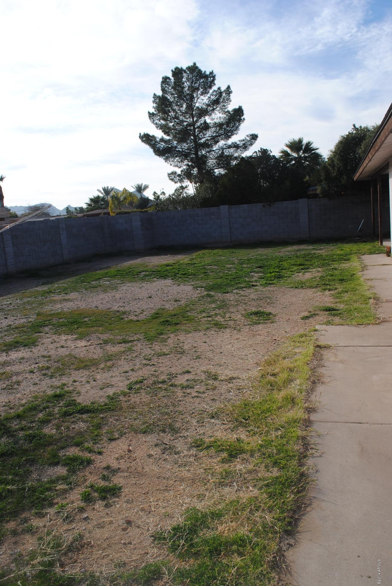 2923 East Cactus Road Phoenix, AZ 85032 - Photo 23 of 24 Backyard