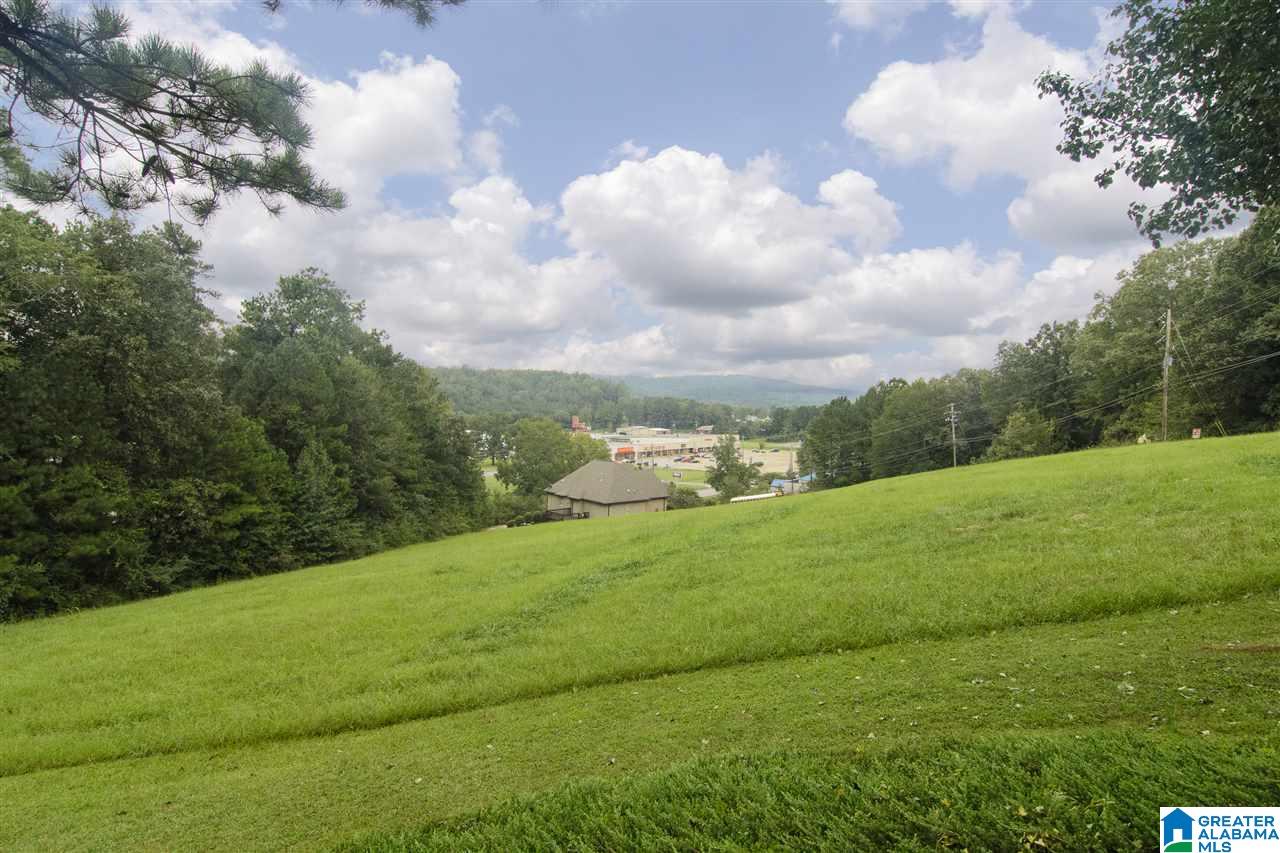 8 Shadywood Lane Springville, AL 35146 - Photo 50 of 50