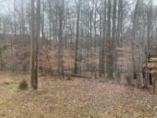 0 Caron Drive Spring City, TN 37381 - Photo 1 of 6 Gallery Image 1