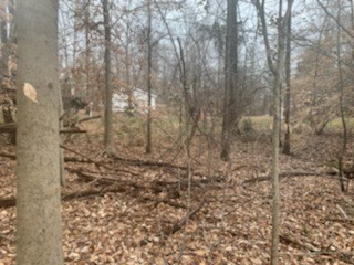 0 Caron Drive Spring City, TN 37381 - Photo 6 of 6 Gallery Image 6