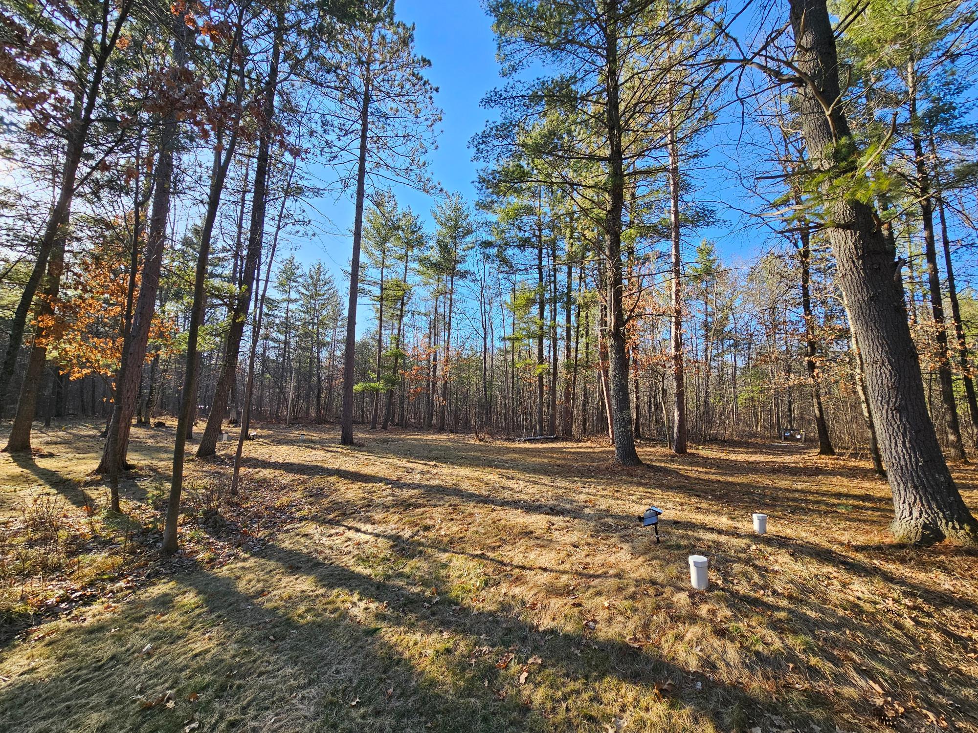 7454 Lyannas Road Lake Tomahawk, WI 54539 - Photo 21 of 31 Gallery Image 21