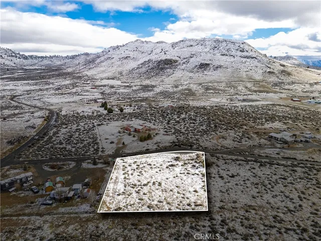 a view of a dry yard