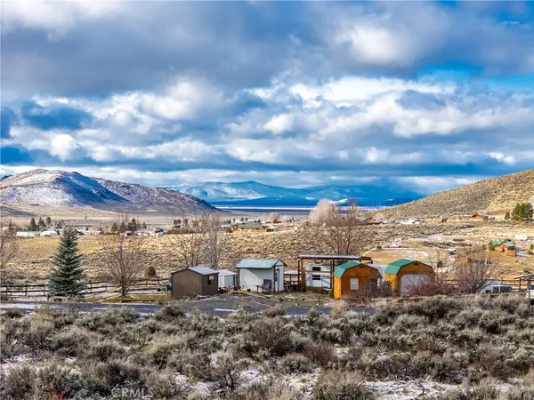 a view of a yard