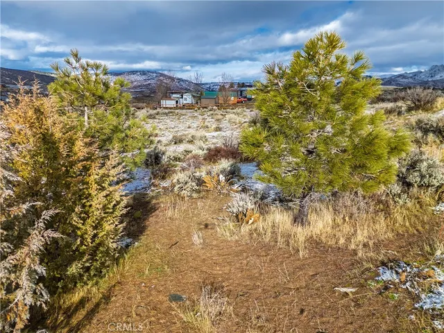 $36,500 | 95273 Spring Drive, Chilcoot, CA 96105