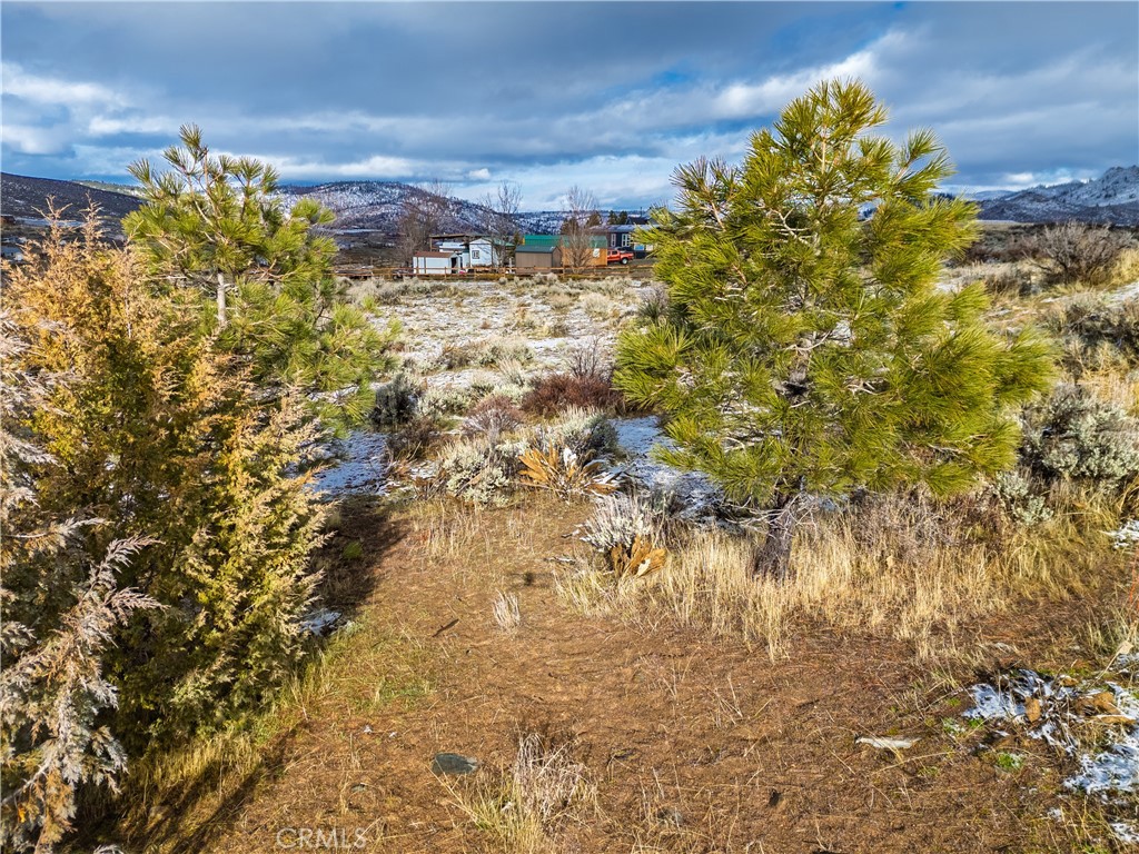 95273 Spring Drive Chilcoot, CA 96105 - Photo 37 of 49 a view of a bunch of trees and houses