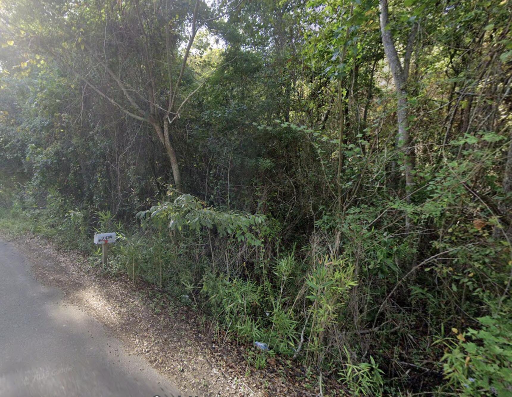 8448 Old Georgetown Road McClellanville, SC 29458 - Photo 3 of 7 8448 Old Georgetown Road