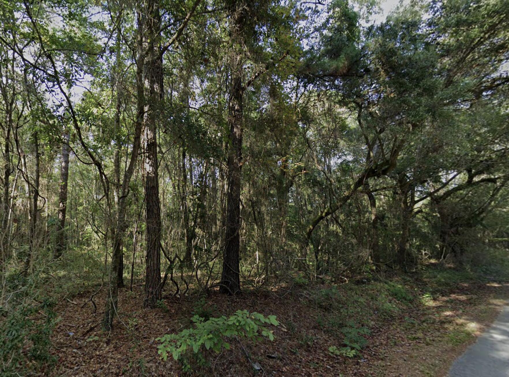 8448 Old Georgetown Road McClellanville, SC 29458 - Photo 5 of 7 8448 Old Georgetown Road