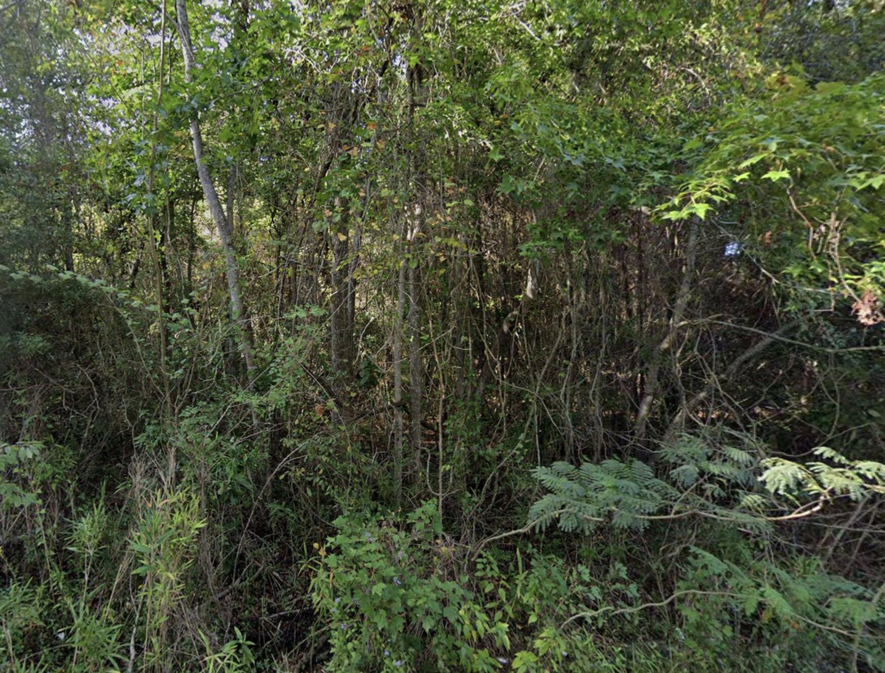 8448 Old Georgetown Road McClellanville, SC 29458 - Photo 6 of 7 8448 Old Georgetown Road