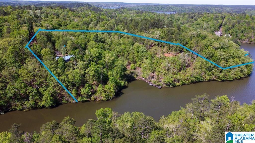 517 Indian Springs Road Rockford, AL 35136 - Photo 2 of 39