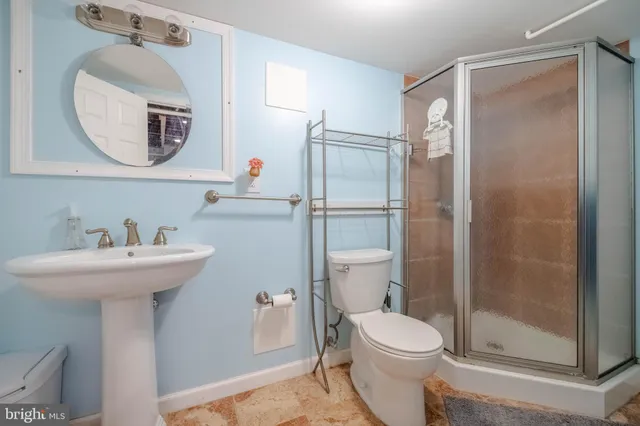 a view of a backyard with large trees and plants