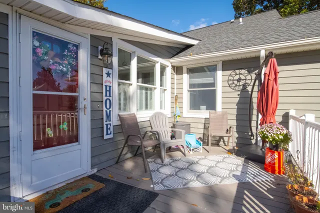 a view of a park with large trees