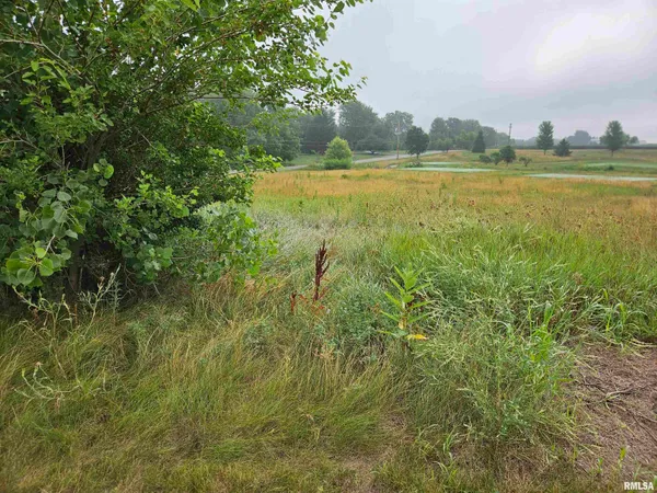 $99,990 | 908 Brinkman Way, Metamora, IL 61548