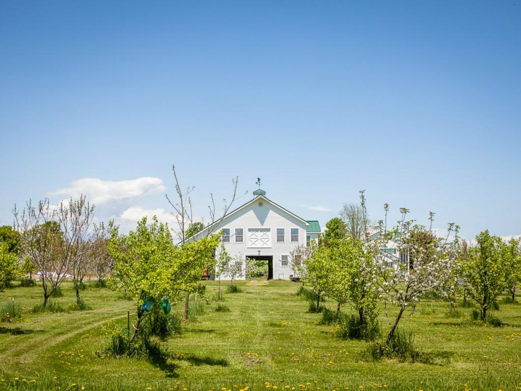 404 Phillips Corner Road Pittsfield, ME 04967 - Photo 19 of 31 Land. large new barn with art...